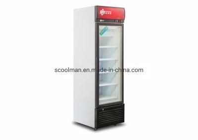 Single Glass Door Vertical Showcase Refrigerator / Freezer