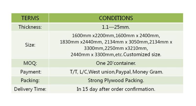 5mm Clear Float Glass/Glass/Float Glass/Clear Glass for Building