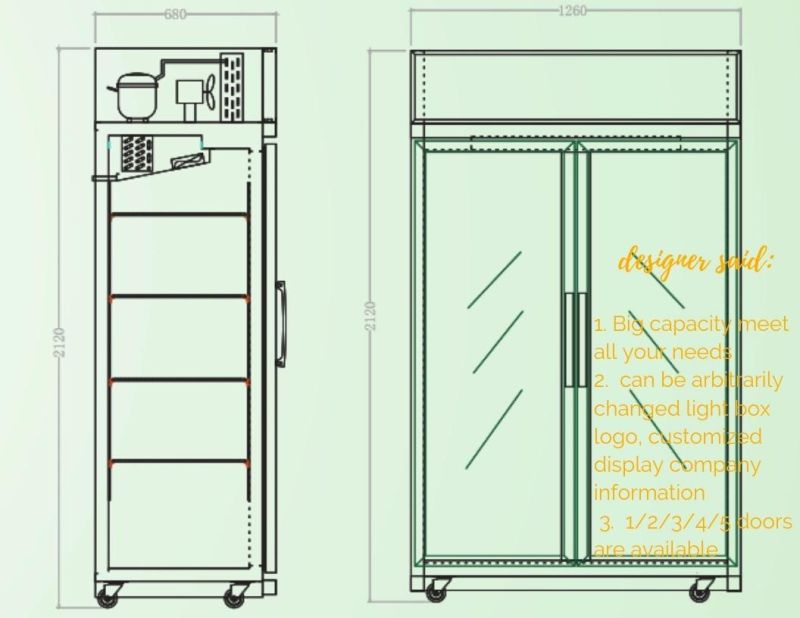 Double Glass Doors Vertical Display Cabinet Beer Cooler for Shop/Store/Restaurant