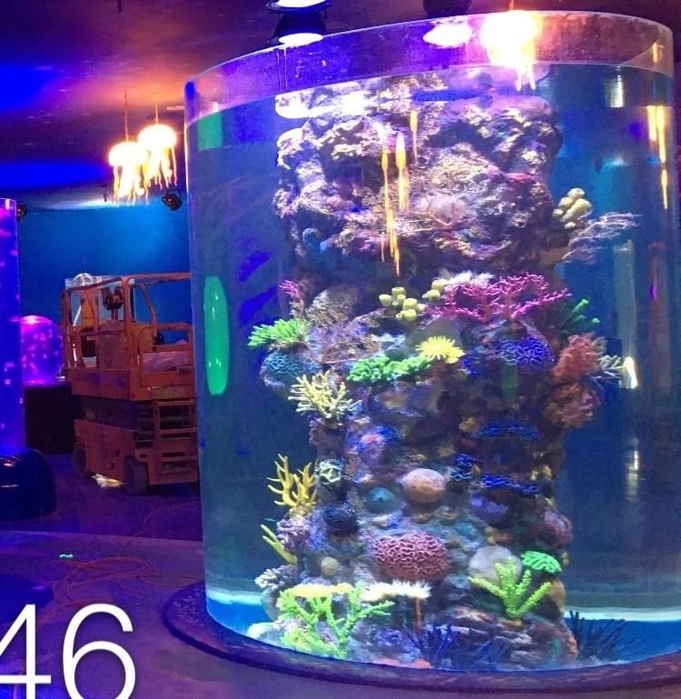 2020 Cylindrical Acrylic Aquarium Tank Project