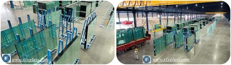 Safety Glass/Extra Clear Float Glass for Greenhouse