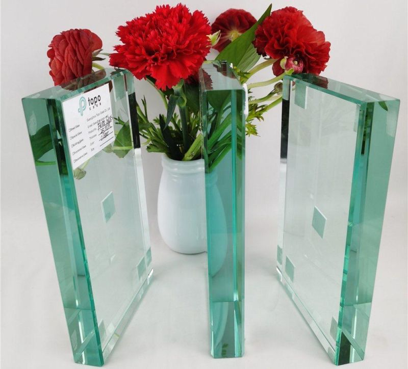 6mm 8mm 10mm 12mm Clear Transparent Plain Float Flat Glass in Guangzhou (W-TP)