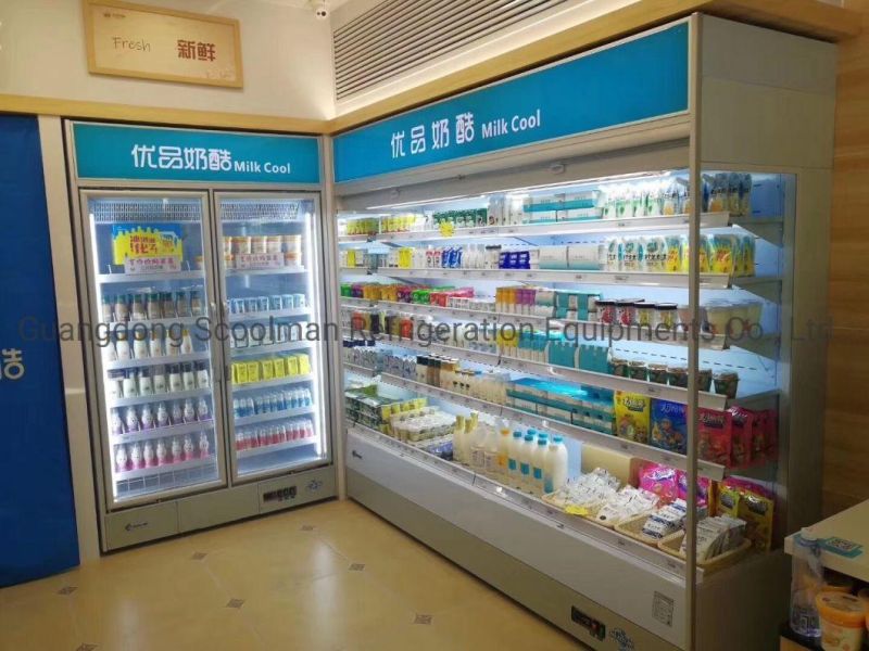 Commercial Two Glass Door Vertical Freezer for Supermarket Showcase