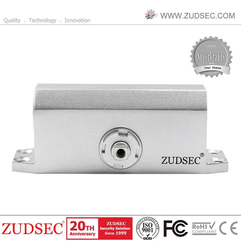 Small Size Aluminum 180 Degree Auto Door Closer for 40-65kg Residential Door