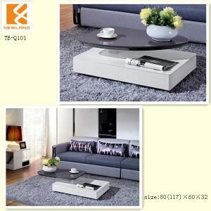 Folding Coffee Table (TB-Q101)