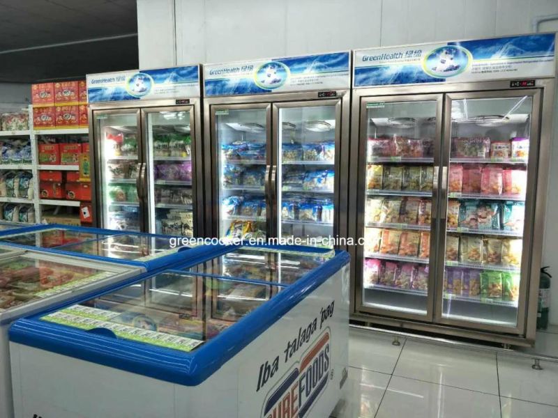 Supermarket Glass Door / Display / Chest / Icecream / Deep / Showcase / Upright Freezer