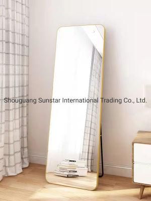 Customized Illuminated Vanity Mirror Full Length Dressing Bathroom Mirror Glass Modern with LED Light All-Season Not Support