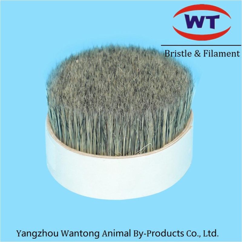 Chungking Natural Grey Pure Boiled Bristles for Brushes