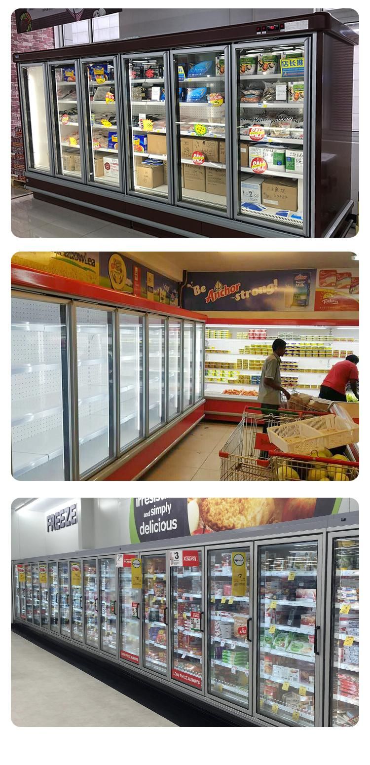 Vertical Multideck Glass Door Commercial Freezer Refrigerator Showcase