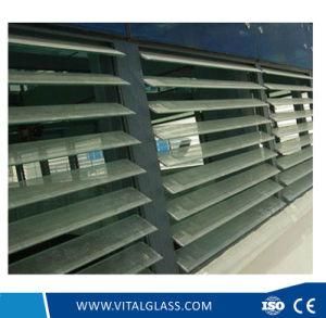 Clear and Tinted Float/Patterned Louver Glass/Louvered Glass