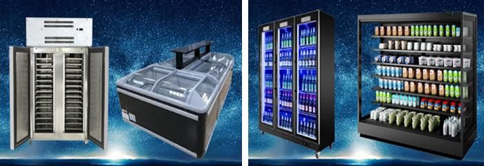 Quick Freezing Showcase Frozen Food Glass Door Display Freezer for Supermarket