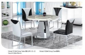 Professional Round Dining Table with Marble/Glass (T016)