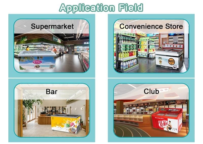 Commercial Glass Door Showcase Low Temperature Freezer for Ice-Cream SD/Sc-358y