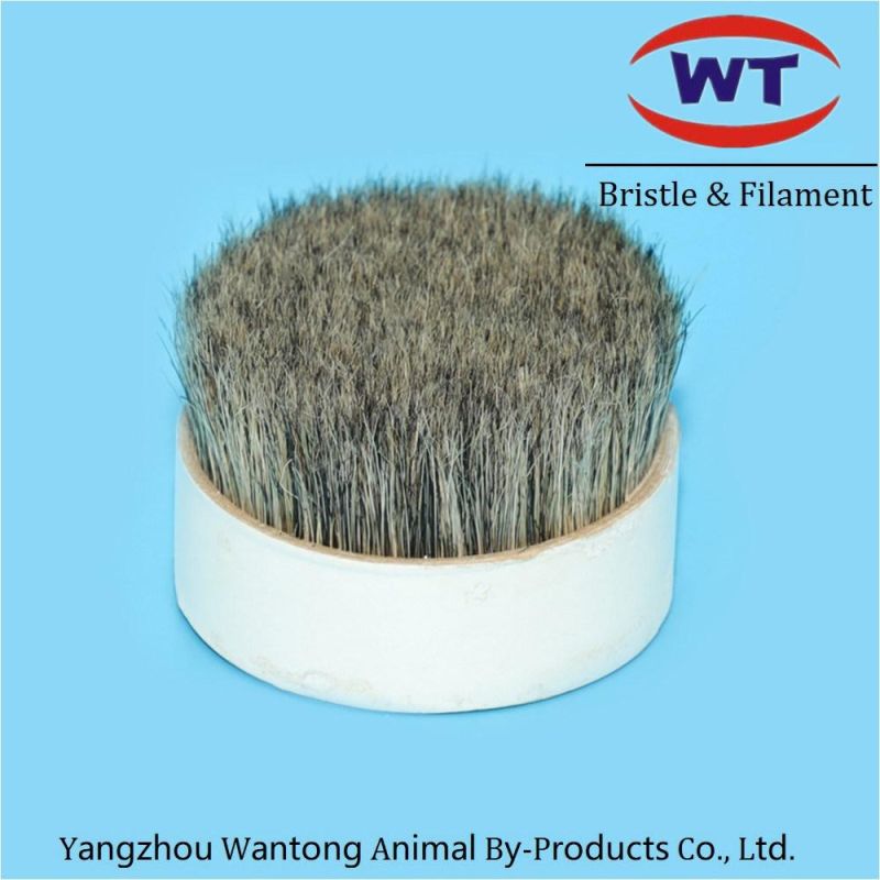 Chungking Natural Grey Pig Bristles for Paintbrush