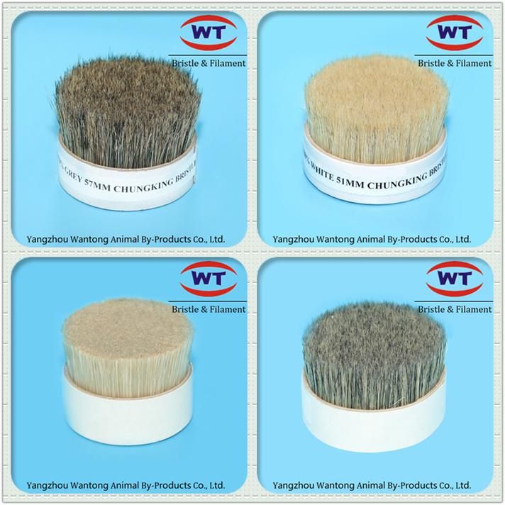 Chungking Natural Cut Root Boiled Bristles for Brushes