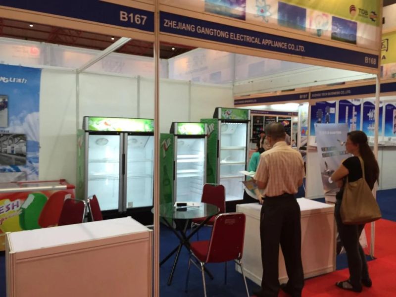 China Manufacturer Wholesale Glass Door Supermarket Cabinet Chiller Display Chest Freezer Deep Freezer Fridge