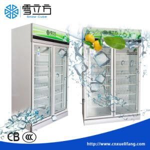 Supermarket Cabinet Freezer, Frozen Food Commercial Glass Door Display Fridge, Upright Refrigeration Equipment with Ce Certificate