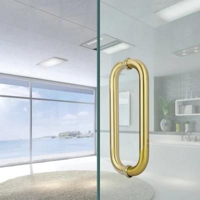 Hot Sales Glass Door Handle Products Shower Glass Door Pull Handles (01-156)