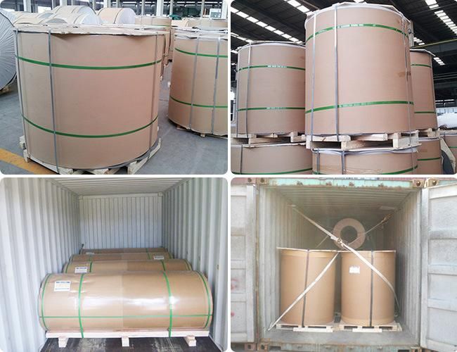 PVDF coated 3003 5182 h14 h19 aluminum coil for wall cladding/facades/roofs/canopies