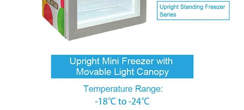 Hotel 55L Upright Display Freezer Ice Cream Showcase (SD-55)