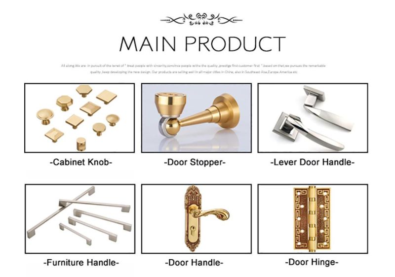 Brass Euro Profile Wooden Door Lock Cylinder with Key