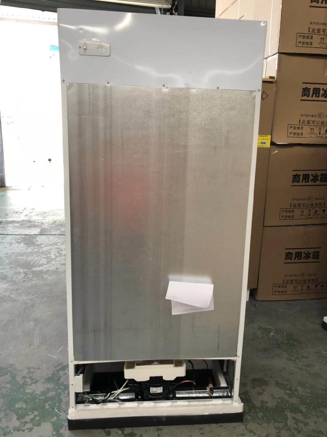 520-980L Commercial Double Glass Door Display Refrigerator Showcase