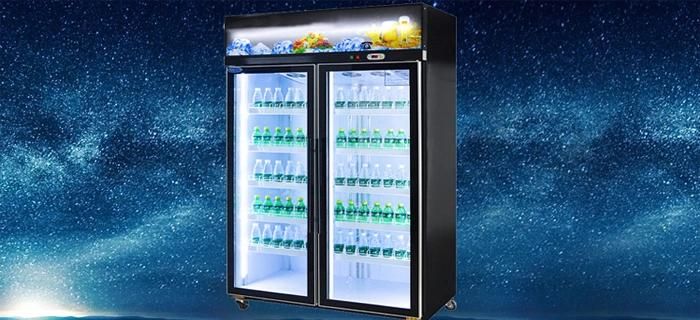 Ce Certificate 2 Glass Door Display Cooler/ 2 Door Upright Showcase / with Back Loading Glass Door Display Refrigerator Showcase