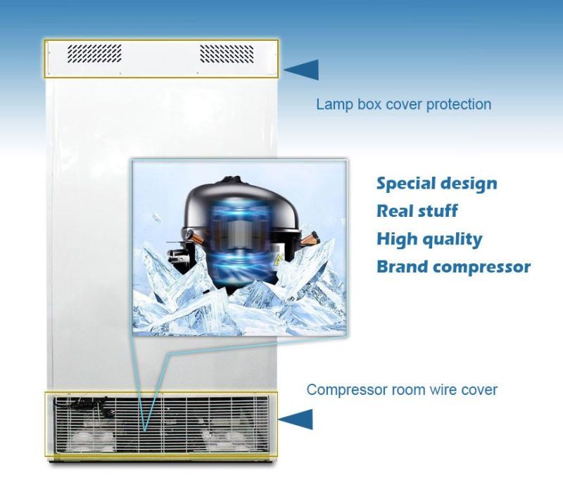 800L Large Capacity Supermarket Cold Storage Display Showcase Glass Pulling Door Cabinet Lsc800kg