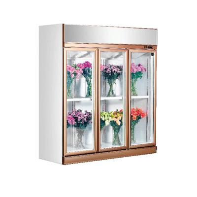 Glass Display Fridge Refrigeration Showcase for Flowers