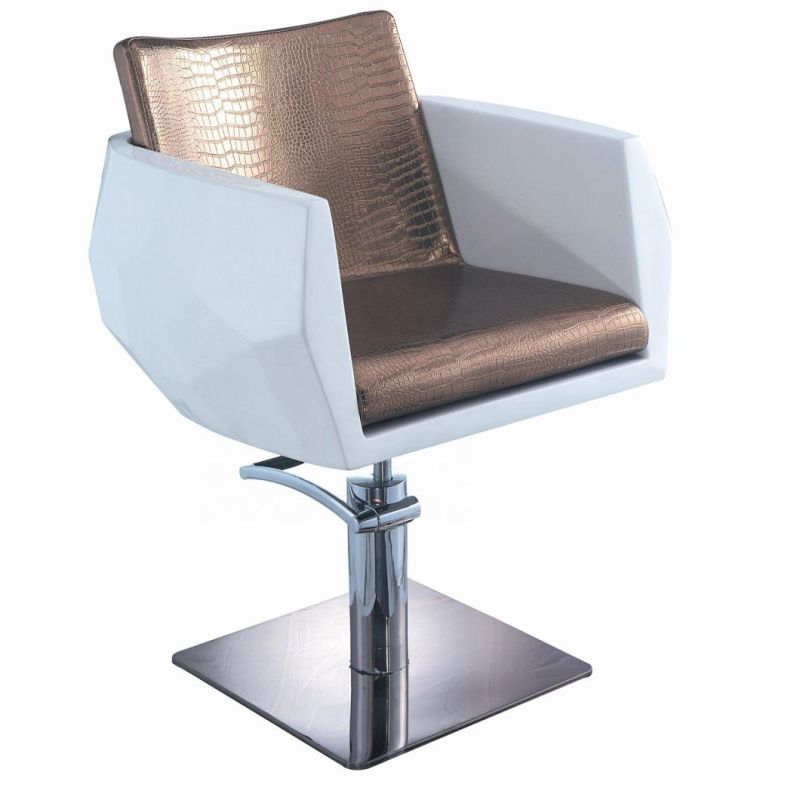 Hl-7240 Salon Barber Chair for Man or Woman with Stainless Steel Armrest and Aluminum Pedal