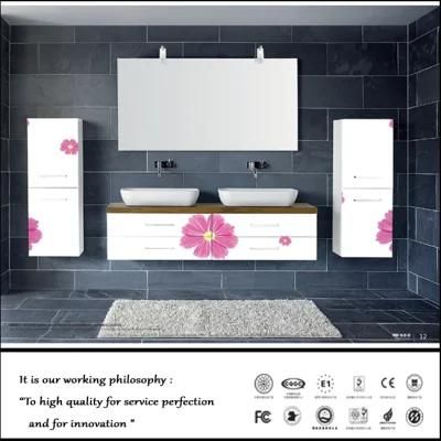 New Modern Style Colour Painting Bathroom Cabinet (FY019)