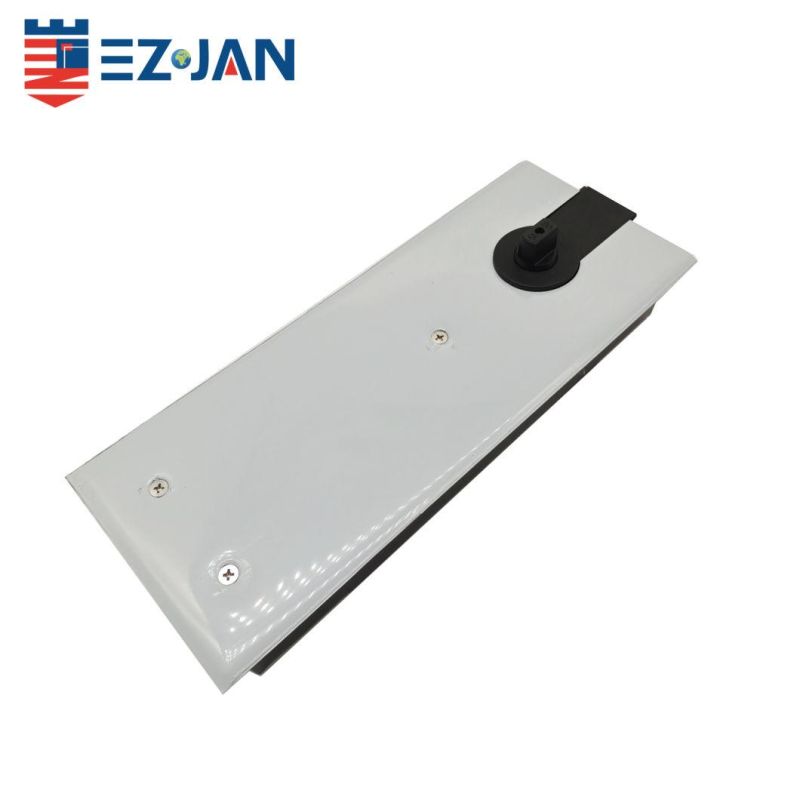Factory Wholesale Frameless Glass Door Closer Two Way Open Hydraulic Floor Spring for 100kg