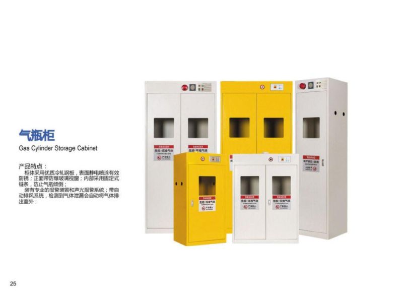 Single Bottle 40L Gas Cylinder Cabinet