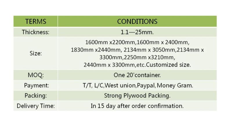 4mm Clear Float Glass/Glass/Float Glass/Clear Glass for Window