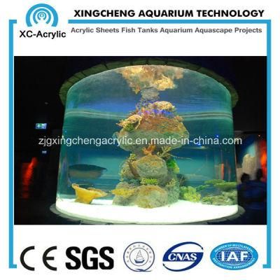 Acrylic Coral Tank/ Fish Tank