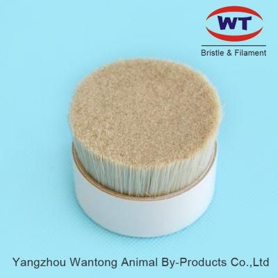 Chungking 90% Tops Natural Pig Bristles