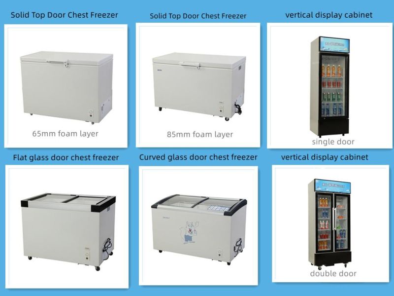 Commercial Refrigerator Ice Cream Freezer Frozen Food Storage Double Glass Door Cabinet Refrigerator