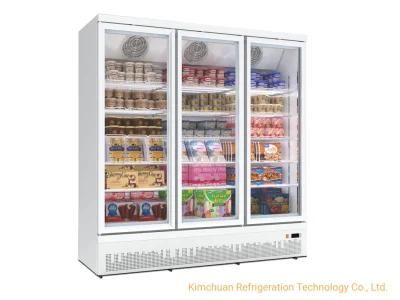 Portable Fridge Freezer Chiller Display Super Market Showcase Deep Freezer