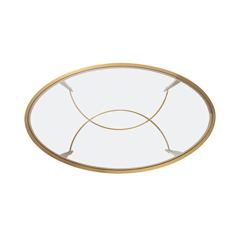 Elegant Stainless Glass Top Coffee Table / Center Table Design