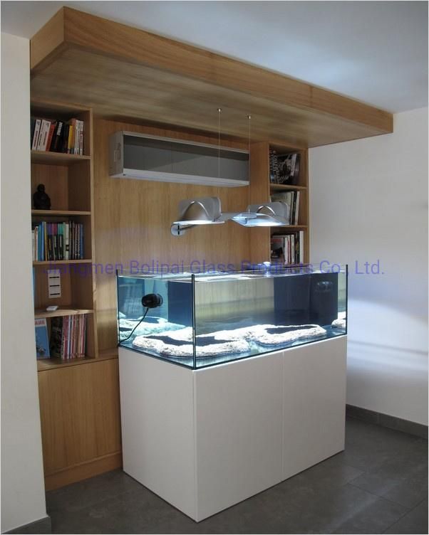 Custom Simplicity Glass Fish Tank Aquarium with Wooden Cabinet
