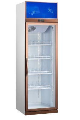 Commercial Beverage Vertical Large-Capacity Fruit Preservation Single Double Door Display Cabinet