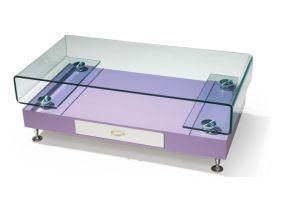 Glass Furniture (TB-519)