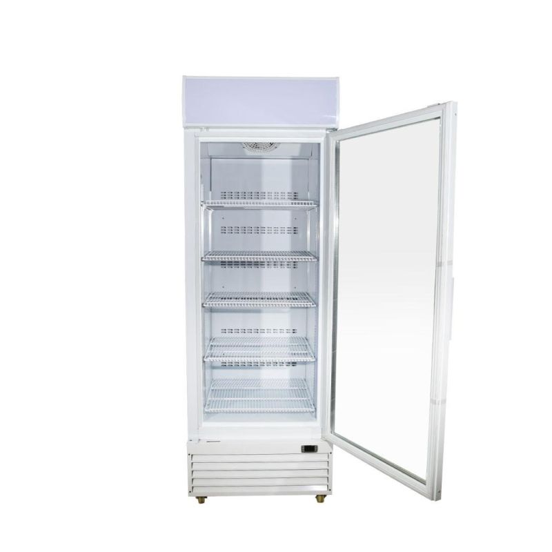 Single Glass Door Fan Dynamic Cooling Upright Freezer Ice-Cream Showcase