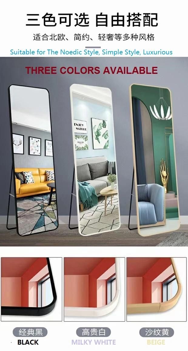 Dressing Mirror Dual Use of Wall Hanging and Floor with Holder