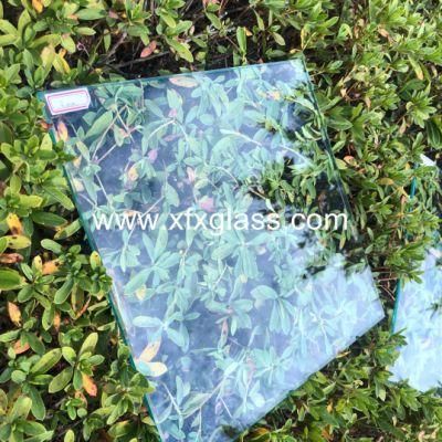 5mm Clear Float Glass