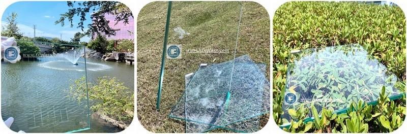 6mm 8mm 10mm Clear Float Glass for Table Top, Window and Fence, Door