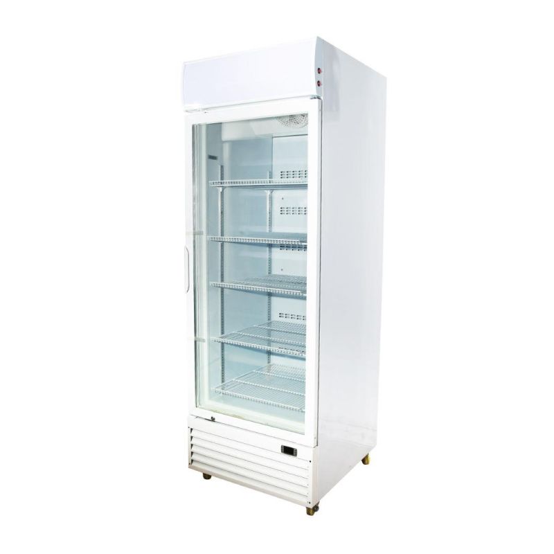 Single Glass Door Fan Dynamic Cooling Upright Freezer Ice-Cream Showcase