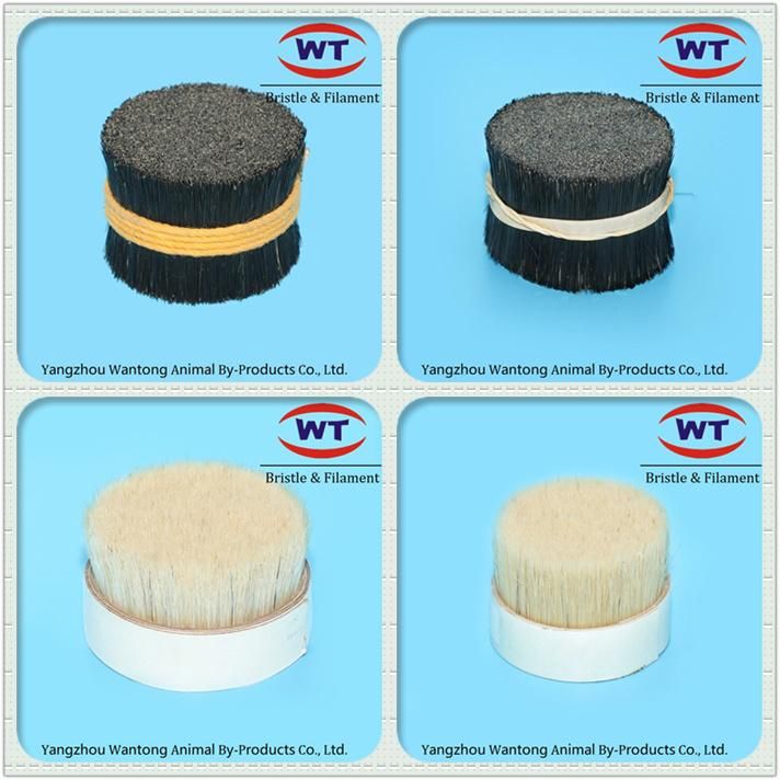 Chungking Natural Cut Root Boiled Bristles for Brushes