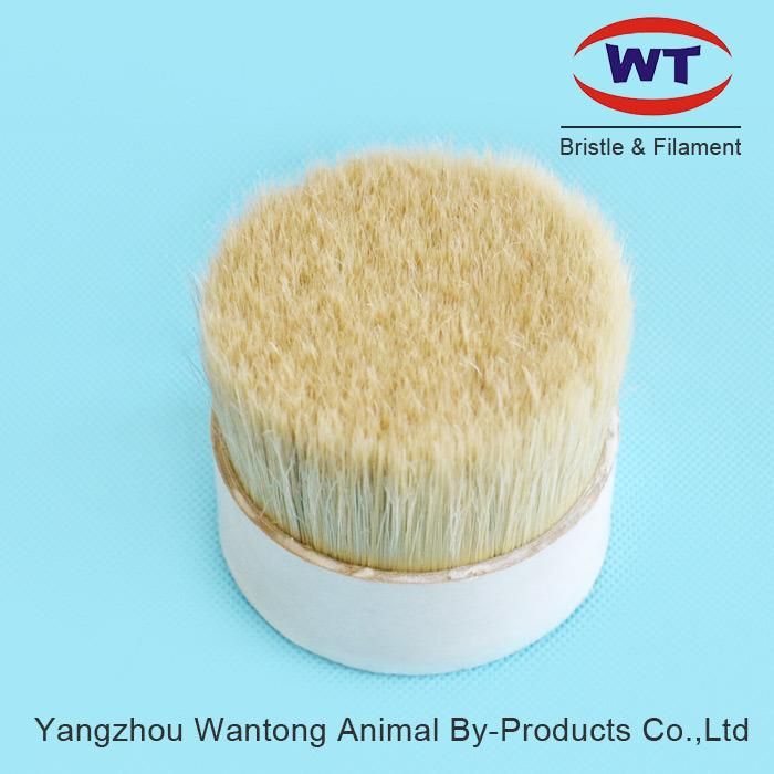 High Quality Chungking 60~90%Tops Natural White Boiled Bristle for Paint Brush