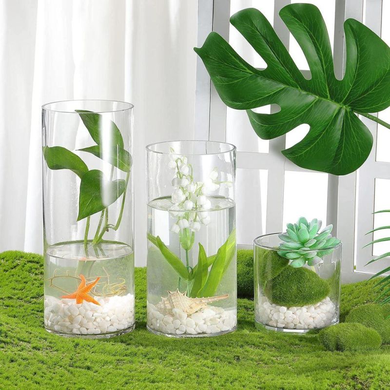 Customized Borosilicate Glass Cylinder Vases Multiple Size Candle Holder